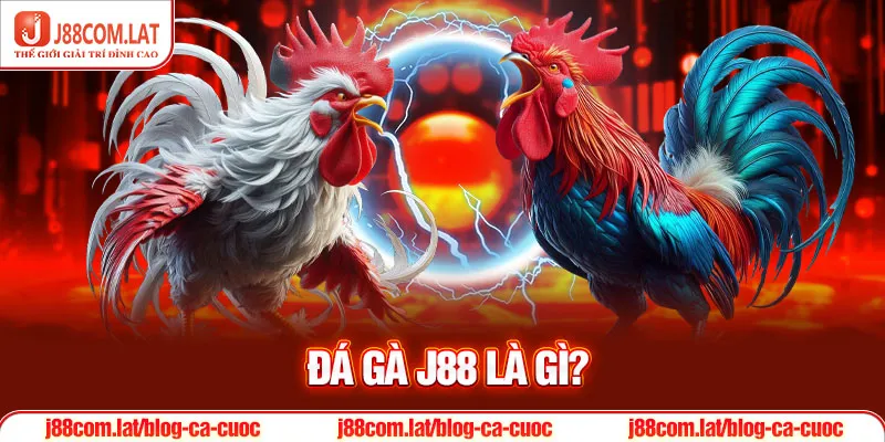Đá Gà J88 | Theo Dõi Các Màn So Tài Tại Sới Gà Trực Tuyến 1 Đá gà J88 là gì?